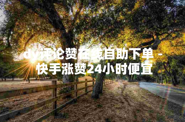 dy评论赞在线自助下单 - 快手涨赞24小时便宜
