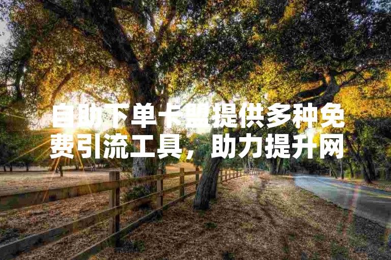 自助下单卡盟提供多种免费引流工具，助力提升网站流量。