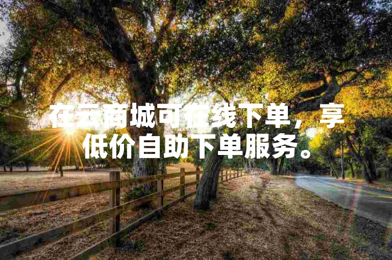 在云商城可在线下单，享低价自助下单服务。