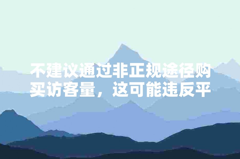 不建议通过非正规途径购买访客量，这可能违反平台规定并带来风险。