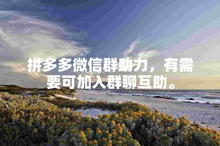 拼多多微信群助力，有需要可加入群聊互助。