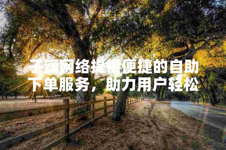 子潇网络提供便捷的自助下单服务，助力用户轻松完成业务操作。