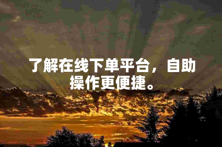 了解在线下单平台，自助操作更便捷。