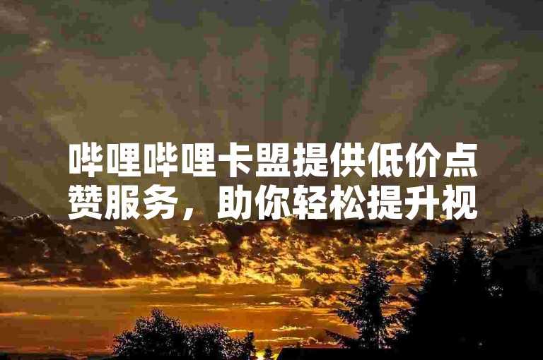 哔哩哔哩卡盟提供低价点赞服务，助你轻松提升视频热度。