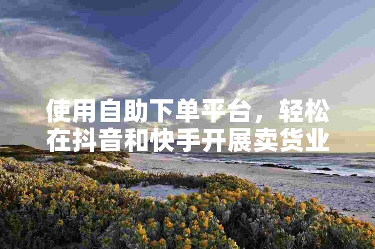 使用自助下单平台，轻松在抖音和快手开展卖货业务。