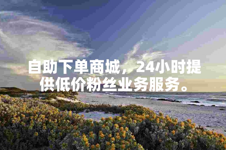 自助下单商城，24小时提供低价粉丝业务服务。