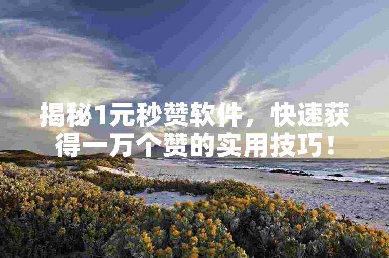 揭秘1元秒赞软件，快速获得一万个赞的实用技巧！