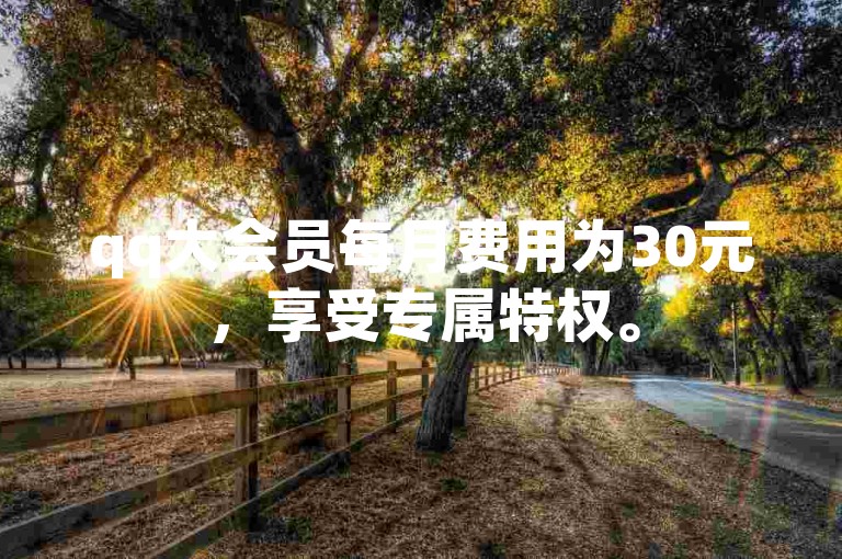 qq大会员每月费用为30元，享受专属特权。