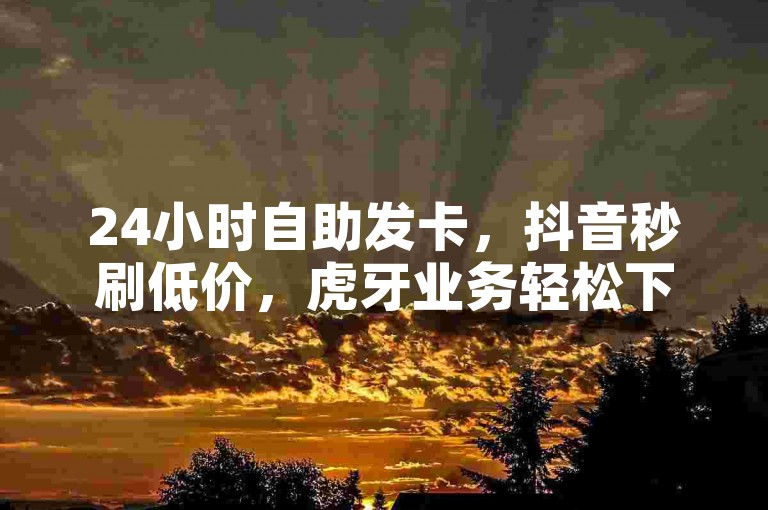 24小时自助发卡，抖音秒刷低价，虎牙业务轻松下单。