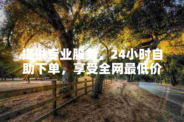 提供专业服务，24小时自助下单，享受全网最低价。