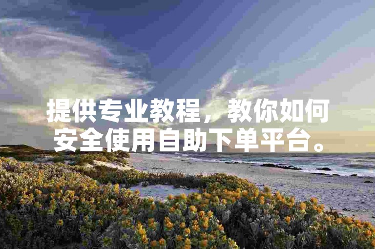 提供专业教程，教你如何安全使用自助下单平台。