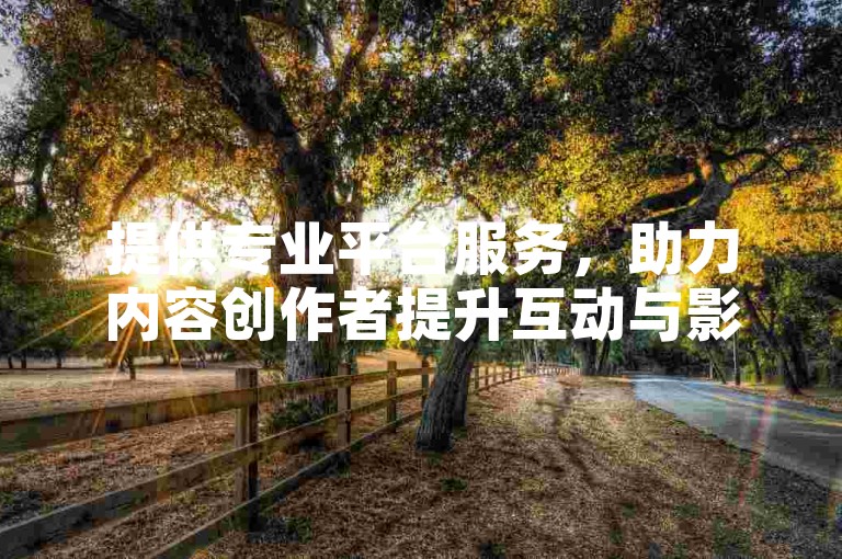 提供专业平台服务，助力内容创作者提升互动与影响力。