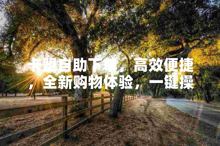 卡盟自助下单，高效便捷，全新购物体验，一键操作，省时省心。