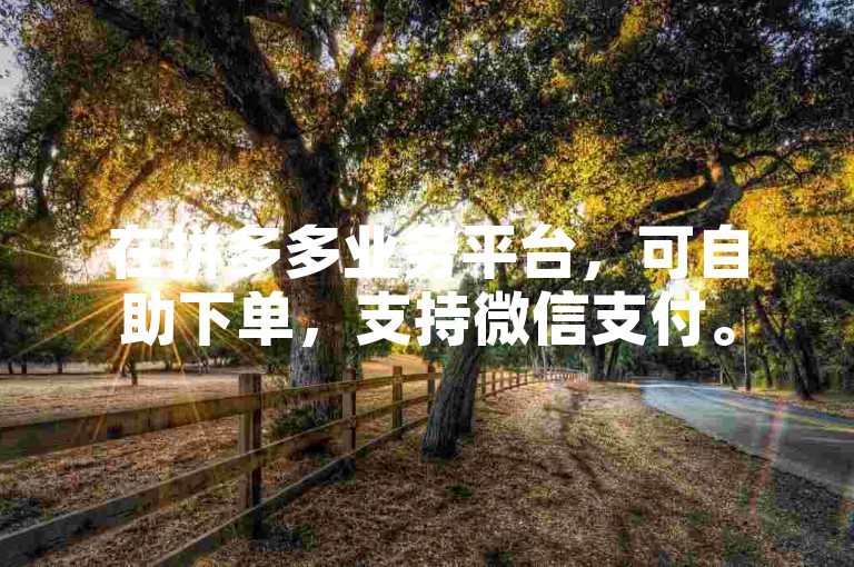 在拼多多业务平台，可自助下单，支持微信支付。