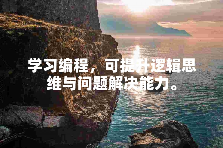 学习编程，可提升逻辑思维与问题解决能力。