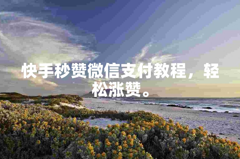 快手秒赞微信支付教程，轻松涨赞。