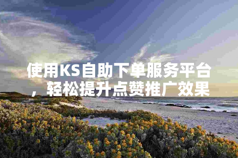 使用KS自助下单服务平台，轻松提升点赞推广效果。