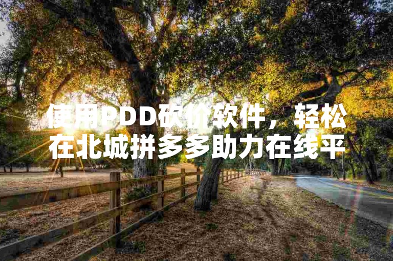 使用PDD砍价软件，轻松在北城拼多多助力在线平台获取优惠。