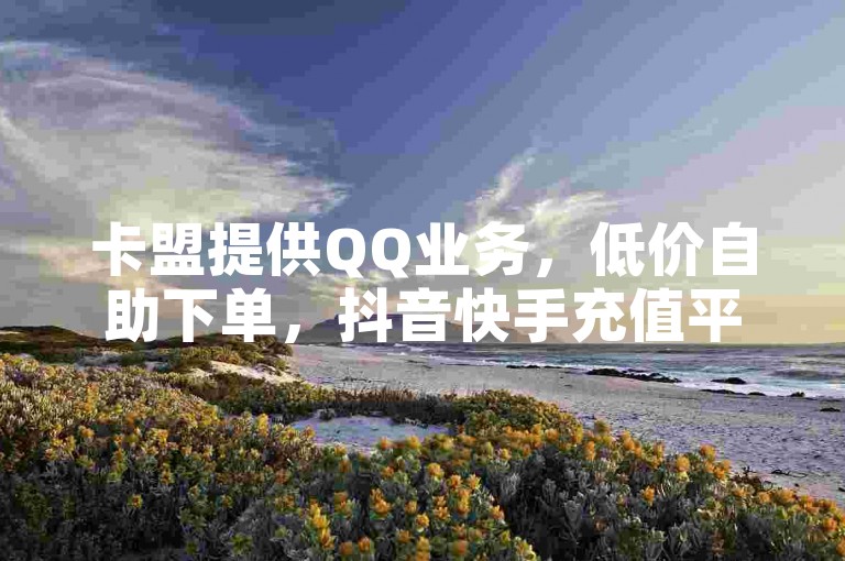 卡盟提供QQ业务，低价自助下单，抖音快手充值平台。