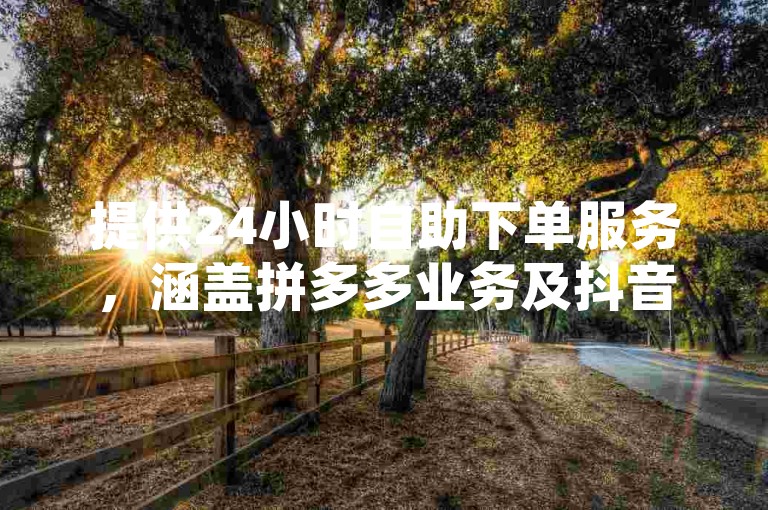 提供24小时自助下单服务，涵盖拼多多业务及抖音直播闪现录屏辅助。