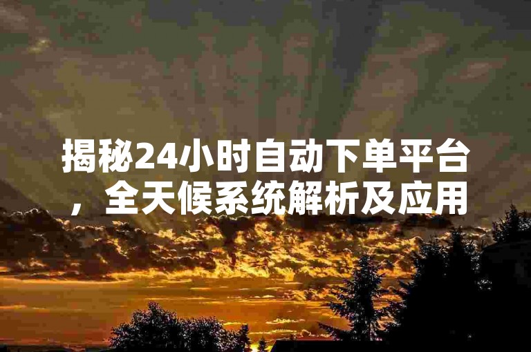 揭秘24小时自动下单平台，全天候系统解析及应用指南，2025必备技能！