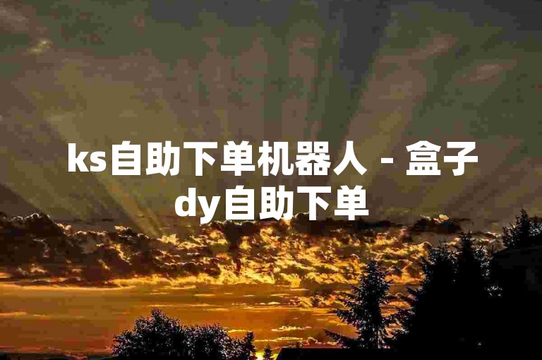 ks自助下单机器人 - 盒子dy自助下单
