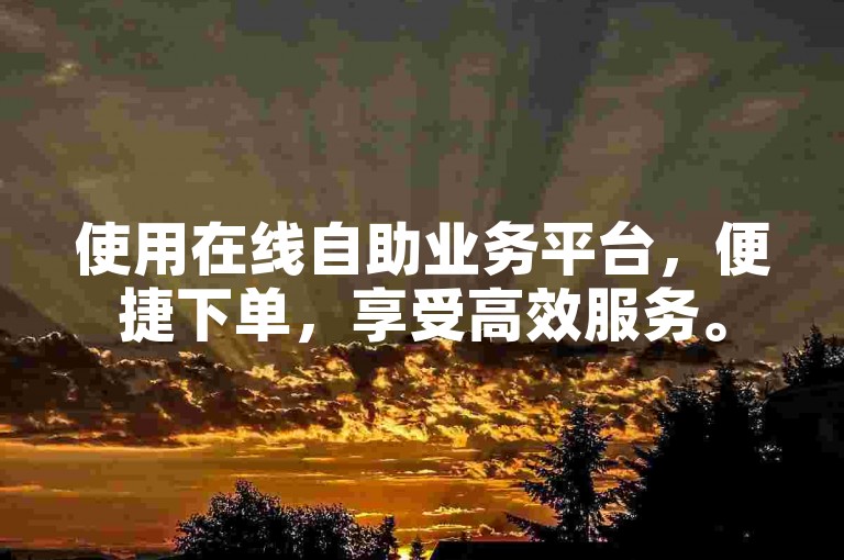 使用在线自助业务平台，便捷下单，享受高效服务。