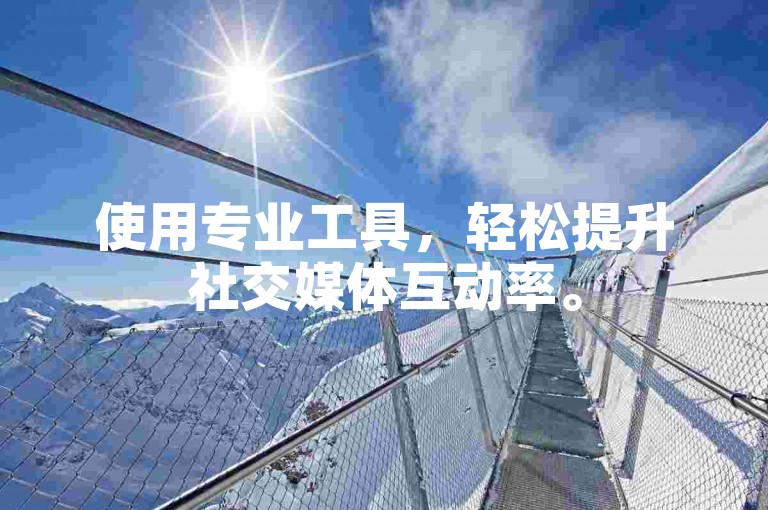 使用专业工具，轻松提升社交媒体互动率。