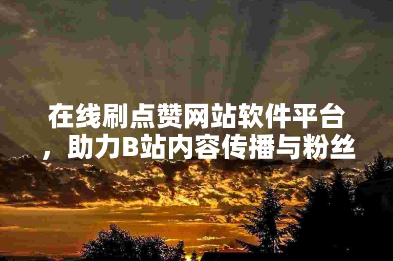 在线刷点赞网站软件平台，助力B站内容传播与粉丝增长。