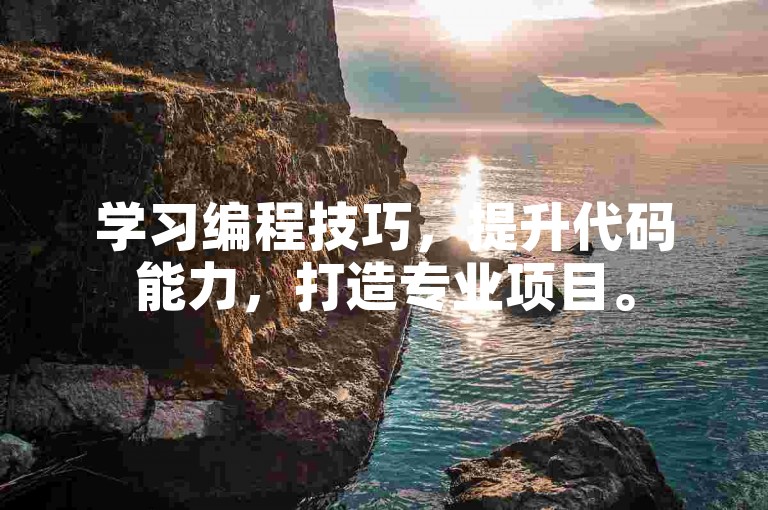 学习编程技巧，提升代码能力，打造专业项目。