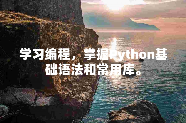 学习编程，掌握Python基础语法和常用库。