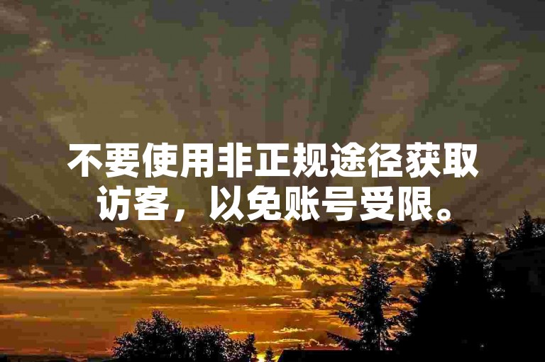 不要使用非正规途径获取访客，以免账号受限。