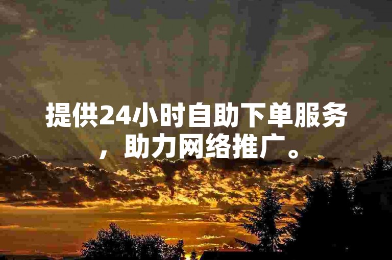 提供24小时自助下单服务，助力网络推广。