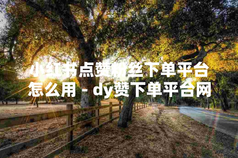 小红书点赞粉丝下单平台怎么用 - dy赞下单平台网站