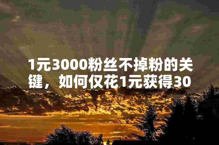 1元3000粉丝不掉粉的关键，如何仅花1元获得3000个稳定粉丝？新人必学！