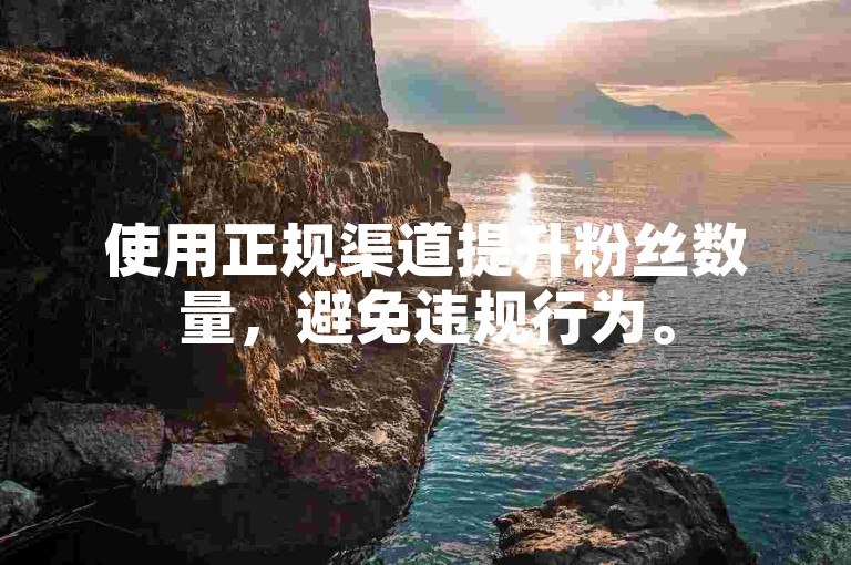 使用正规渠道提升粉丝数量，避免违规行为。