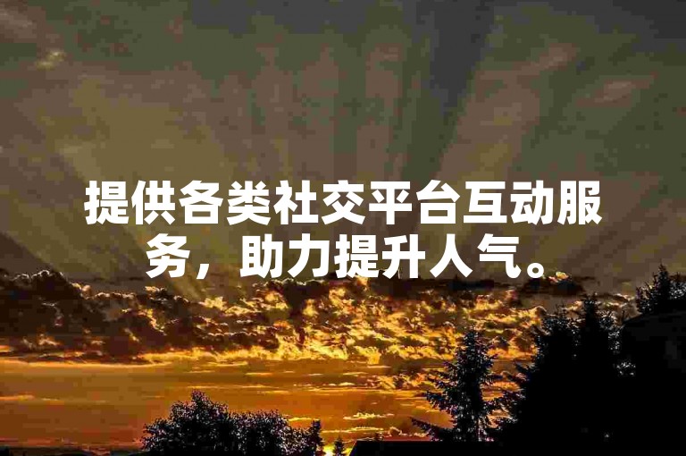 提供各类社交平台互动服务，助力提升人气。