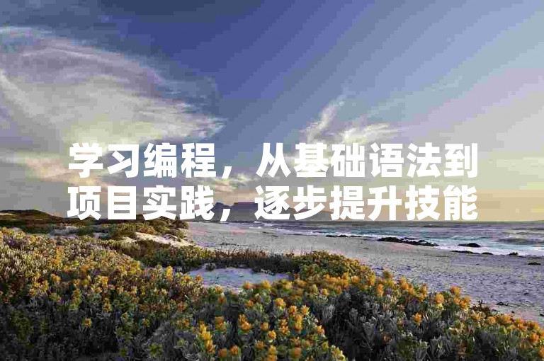 学习编程，从基础语法到项目实践，逐步提升技能。