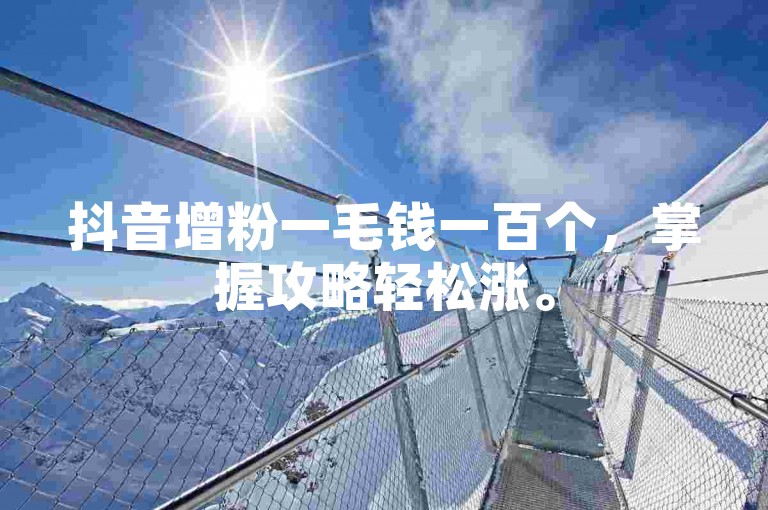 抖音增粉一毛钱一百个，掌握攻略轻松涨。