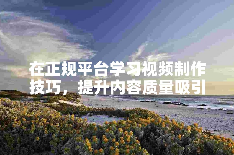 在正规平台学习视频制作技巧，提升内容质量吸引自然流量。