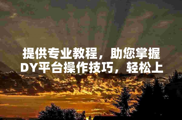 提供专业教程，助您掌握DY平台操作技巧，轻松上手。