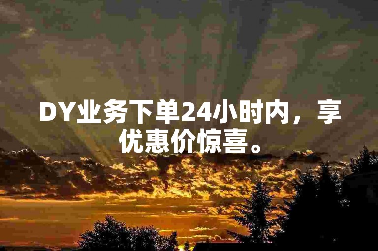 DY业务下单24小时内，享优惠价惊喜。