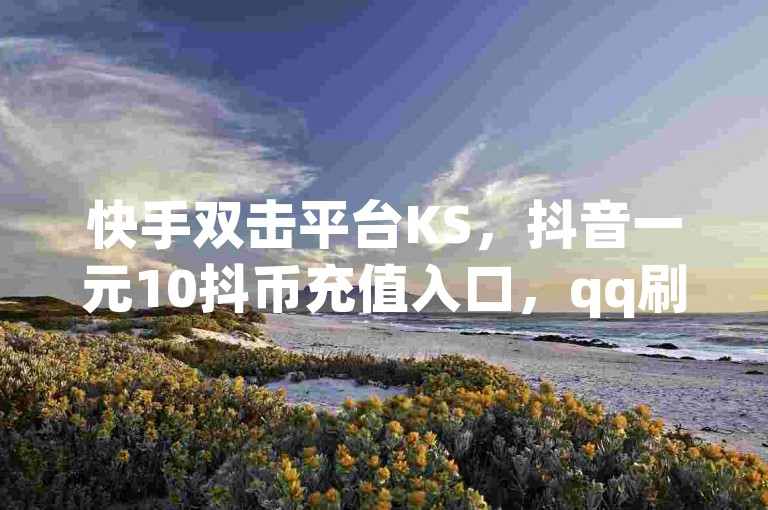快手双击平台KS，抖音一元10抖币充值入口，qq刷访客量，免费查权重工具。