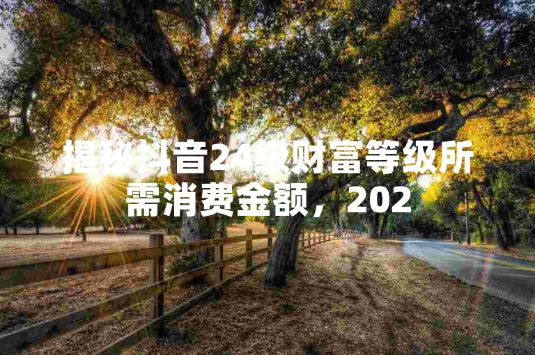 揭秘抖音24级财富等级所需消费金额，2025年必备知识！