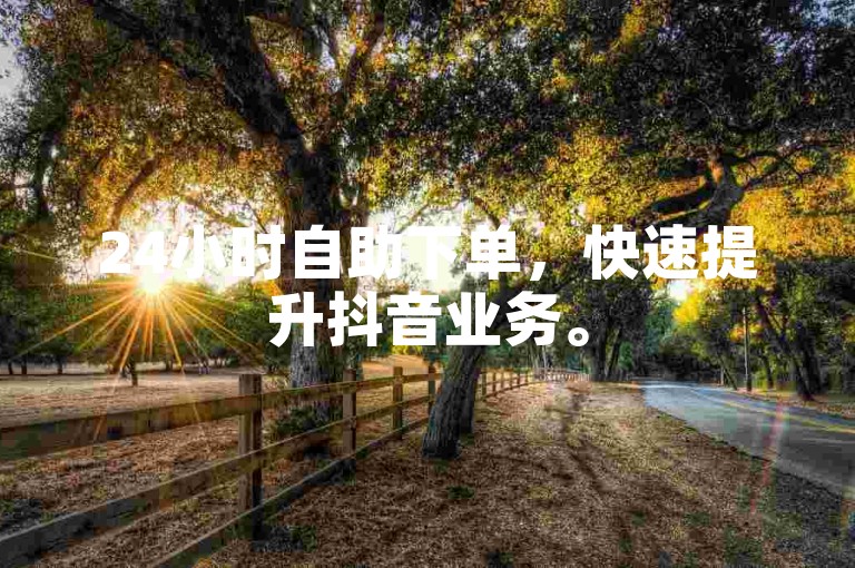 24小时自助下单，快速提升抖音业务。