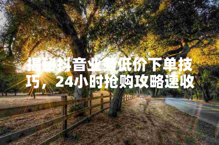 揭秘抖音业务低价下单技巧，24小时抢购攻略速收藏！
