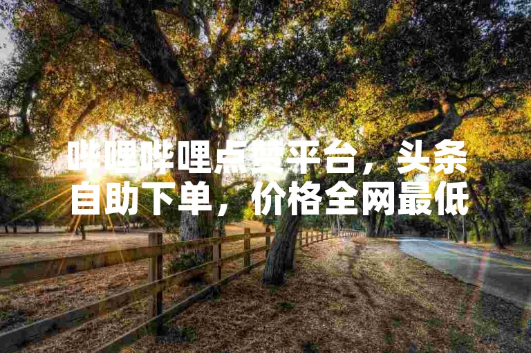 哔哩哔哩点赞平台，头条自助下单，价格全网最低。