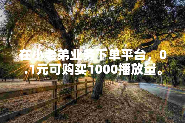 在小老弟业务下单平台，0.1元可购买1000播放量。