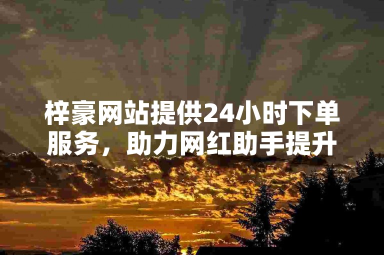 梓豪网站提供24小时下单服务，助力网红助手提升影响力。