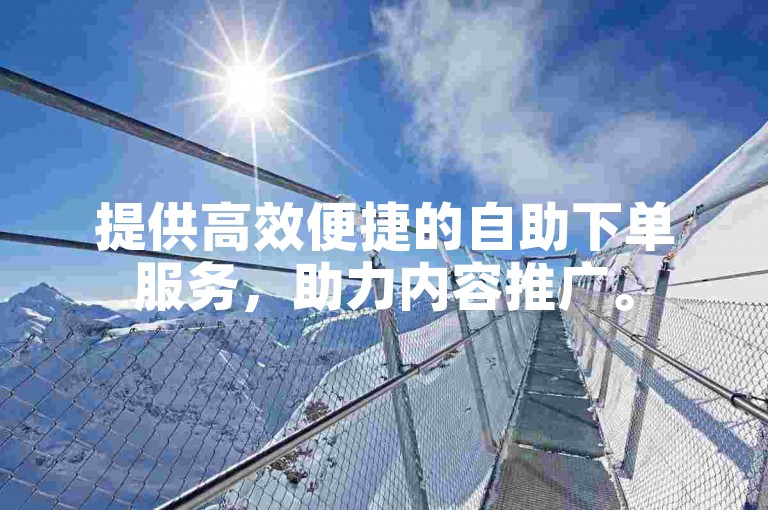 提供高效便捷的自助下单服务，助力内容推广。